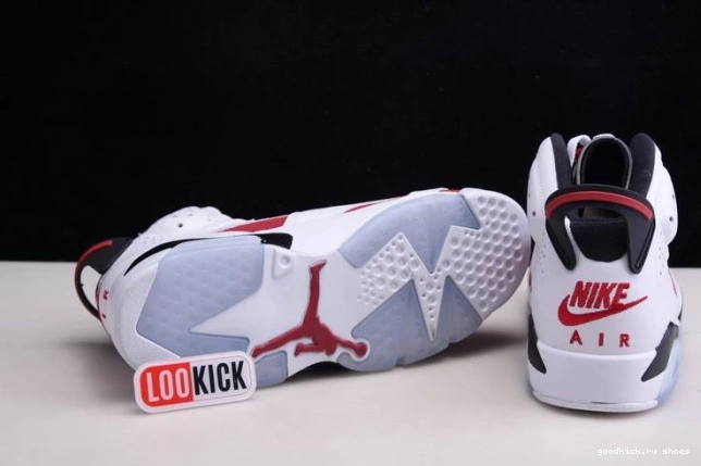 Rep RETRO CT8529-106 6 2021 AIR 'CARMINE' JORDAN 0713